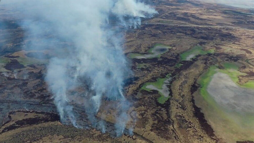 Entre Ríos en emergencia ambiental por los incendios de pastizales en el Delta