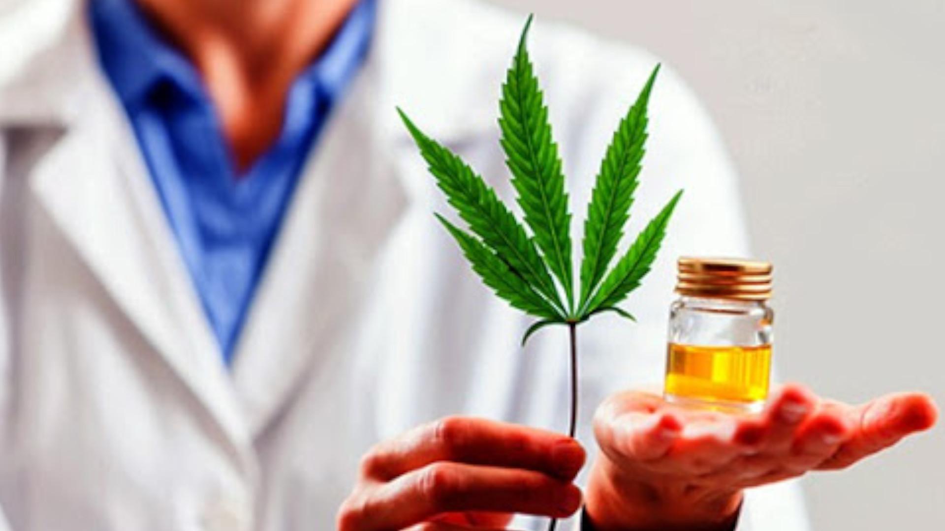 ley cannabis medicinal buenos aires