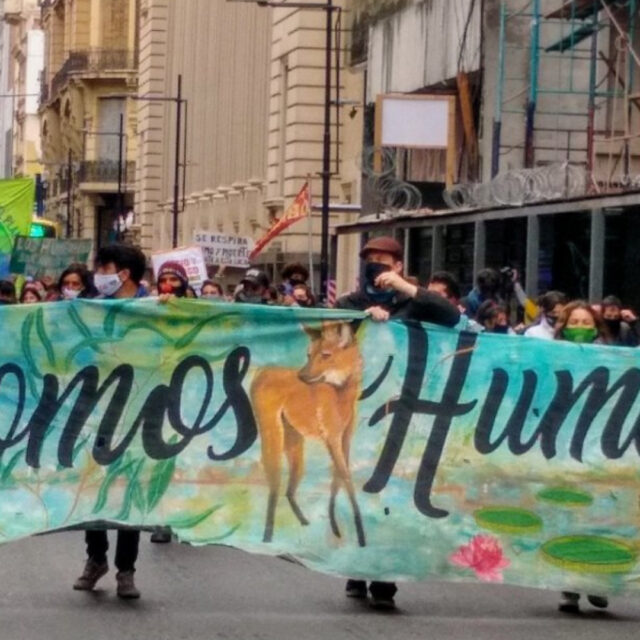 multisectorial humedales facebook