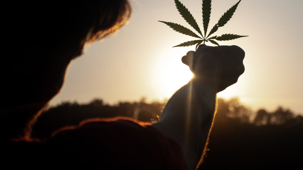 uso ludico de mariguana en mexico 2021