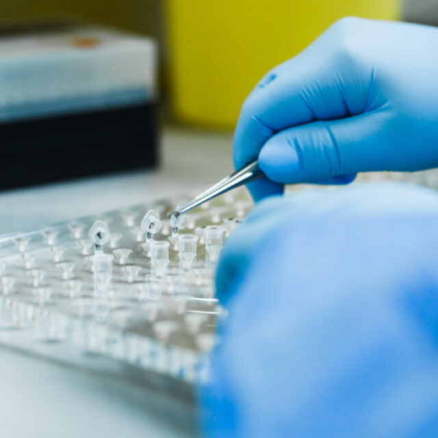 cepas del coronavirus 2021