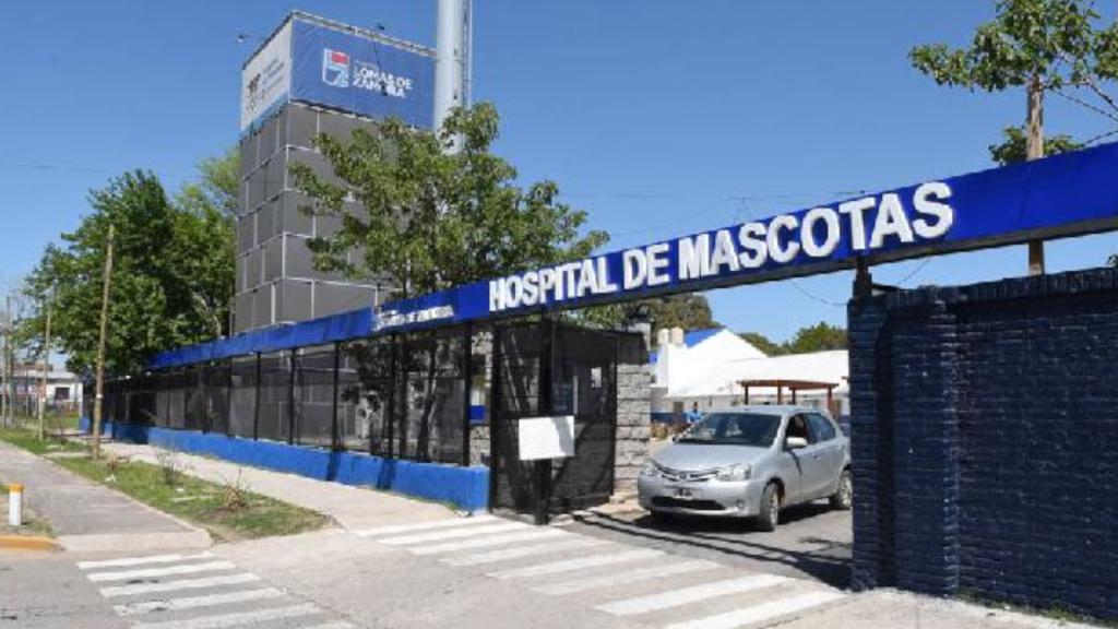 Hospital veterinario gratuito Lomas de Zamora