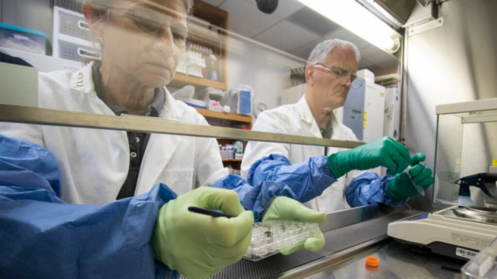 Viruela del mono (mpox): En Argentina, el Ministerio de Salud, confirmó la primera muerte por la enfermedad