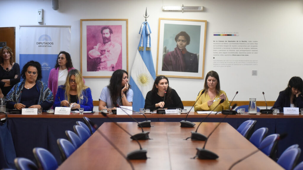 Diputados analizó la creación de una pensión reparatoria para personas travestis-trans