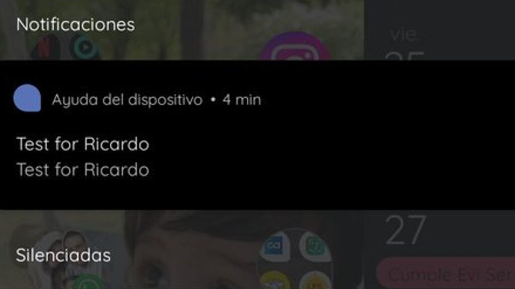 test for ricardo ayuda del dispositivo
