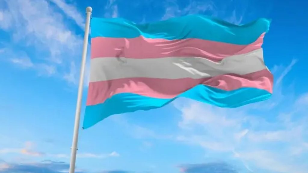 dia internacional de la visibilidad trans